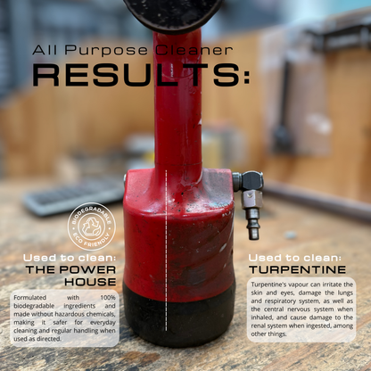 THE POWER HOUSE | All Purpose Cleaner